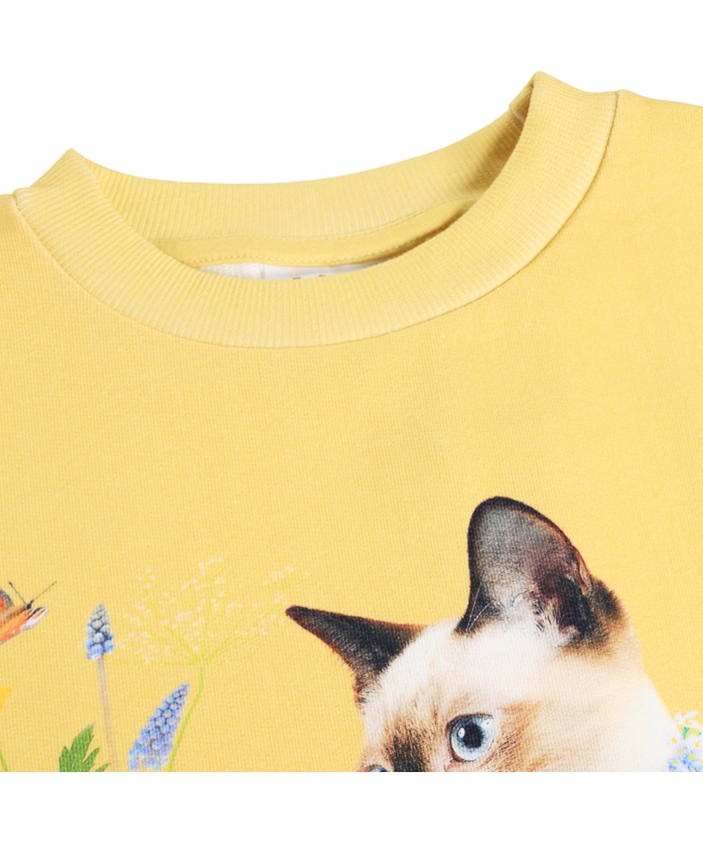 Maxi - Nature Bow - Gul sweatshirt i økologisk bomuld med katteprint til børn