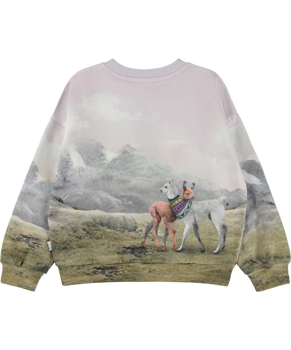 Maxi - Two Lhamas - Lilla og grøn økologisk sweatshirt med placement lhamaprint