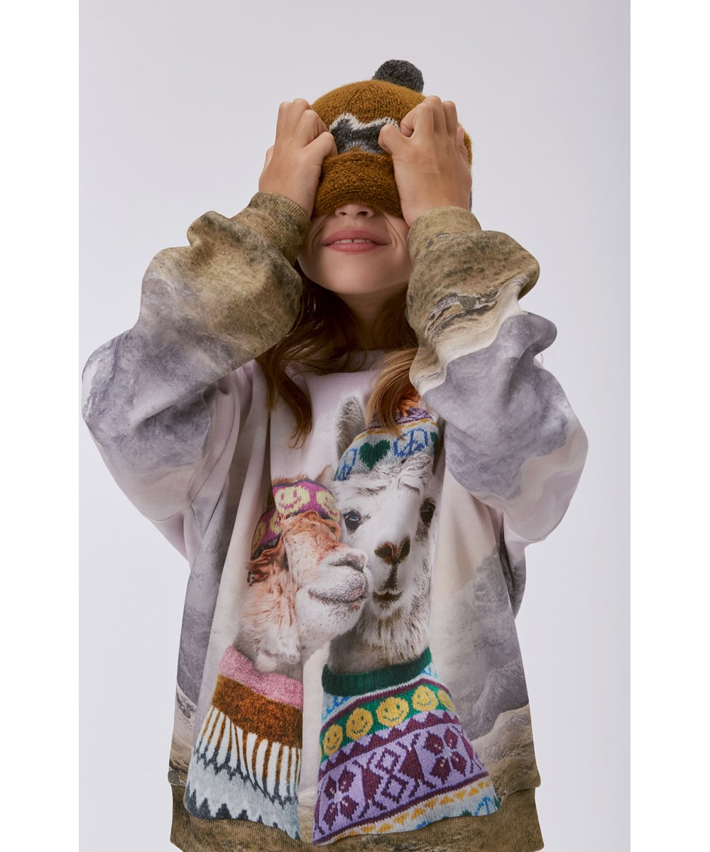 Maxi - Two Lhamas - Lilla og grøn økologisk sweatshirt med placement lhamaprint