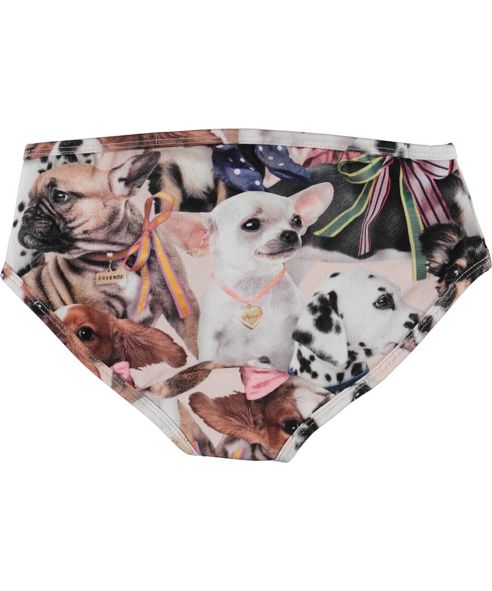 Jane -  Puppy Love - Økologiske underbukser med hunde print