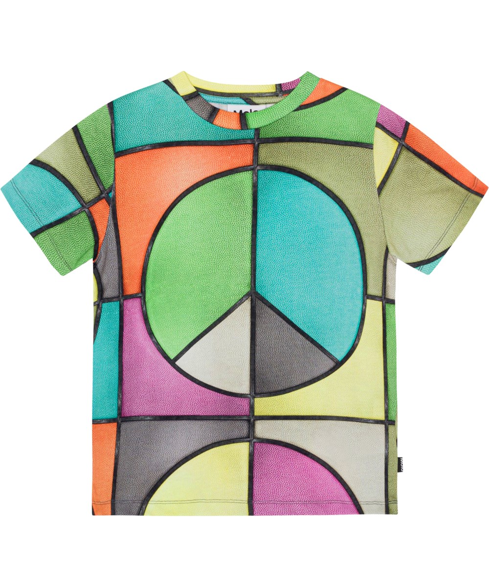 Ralphie - Basket Colour - Multifärgad ekologisk t-shirt med basketmönster.