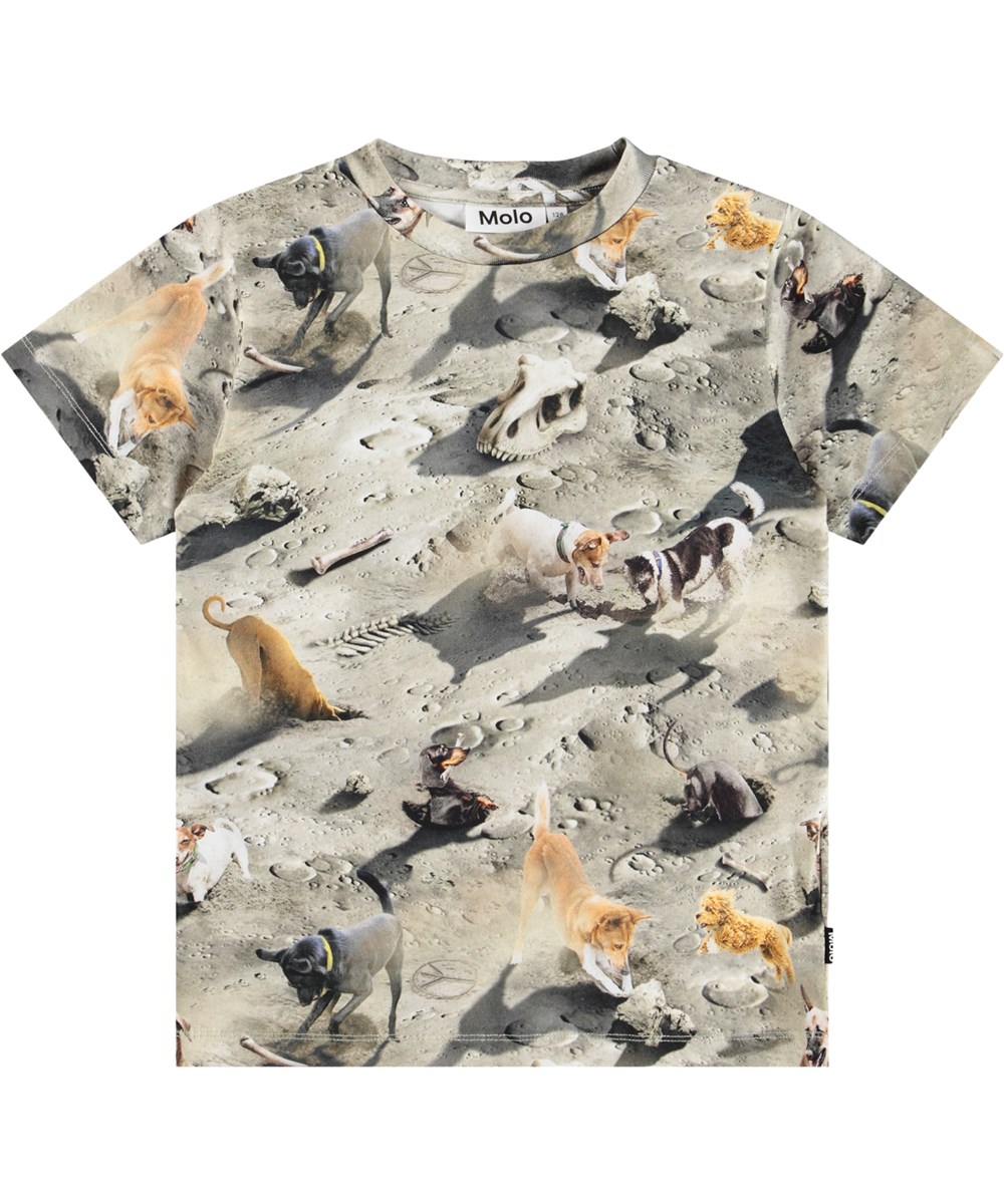 Ralphie - Moon Dogs - Grå T-shirt för barn i mjuk ekologisk bomull med tryck, korta ärmar och en ribbad halsringning.