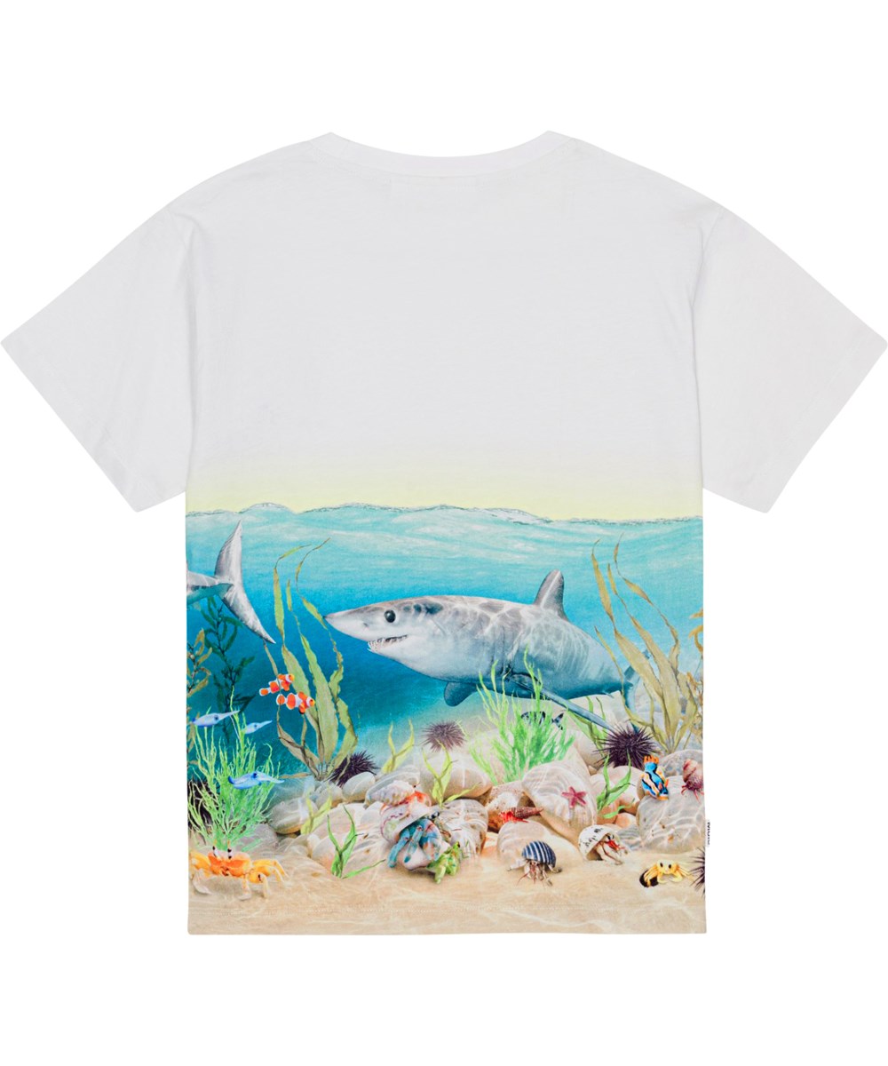 Raveno - Shore Sharks - Vit ekologisk t-shirt med multifärgat hajmönster.