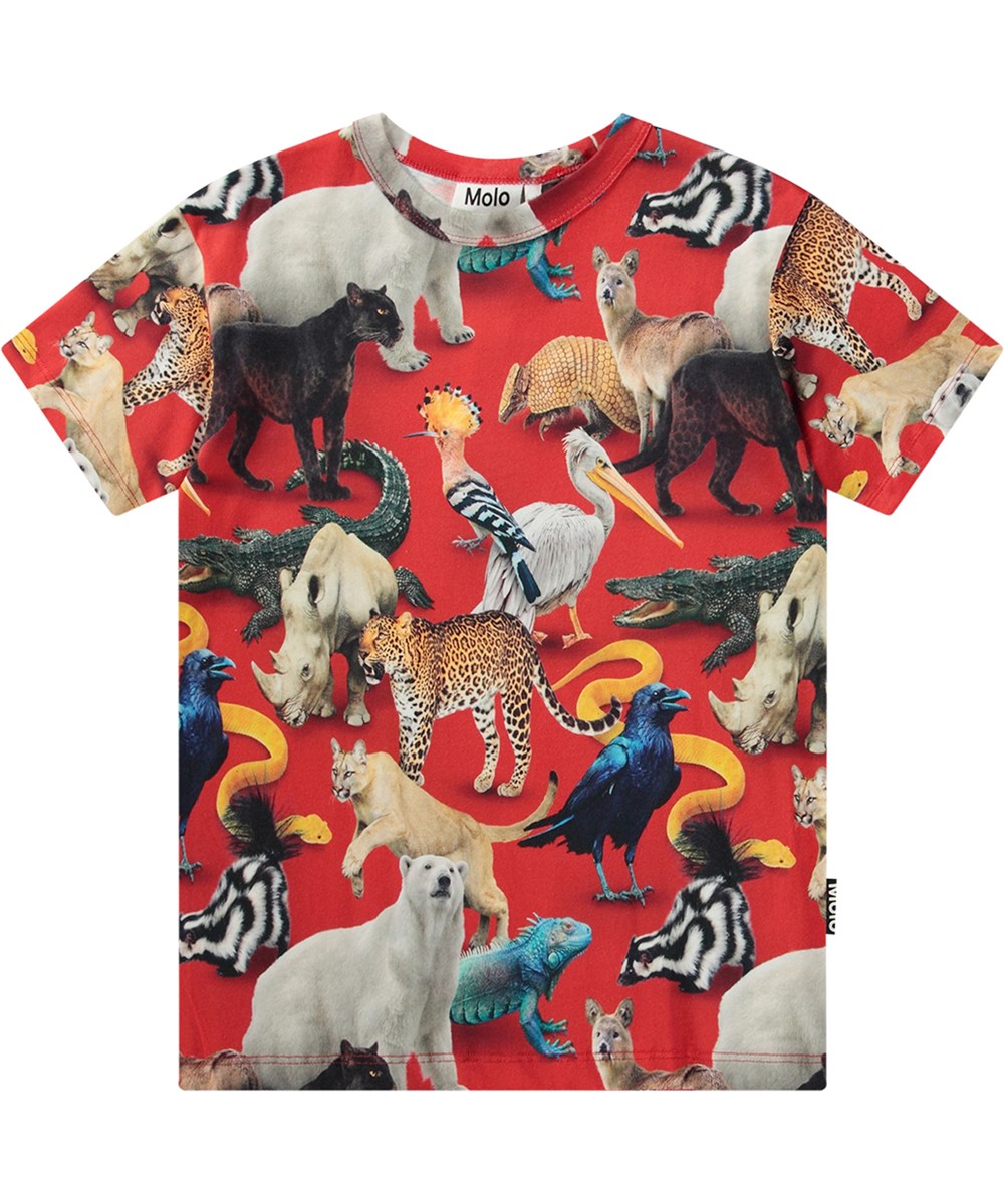 Riley - Animal Mix - Multifärgad T-shirt i ekologisk bomull med djurtryck.