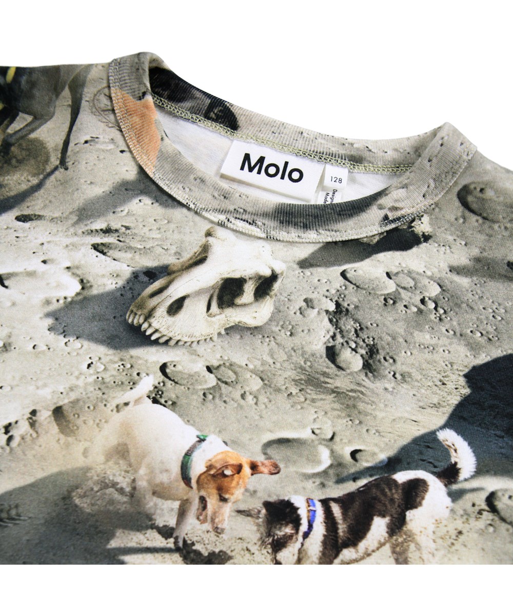 Rill - Moon Dogs - Grå långärmad tröja för barn i mjuk ekologisk bomull med långa ärmar och en ribbad halsringning. T-shirten har en normal passform med hundar på månen.