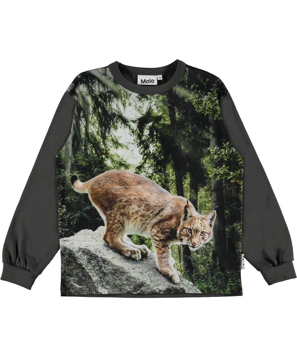 Rin - Lynx - Ekologisk grön tröja med ett lodjur