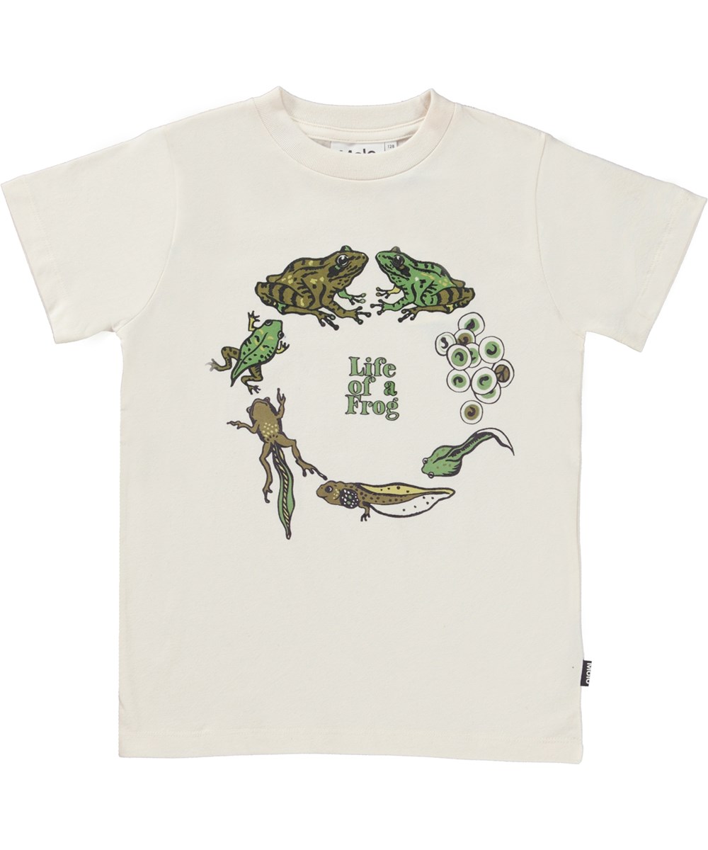 Road - Frog Life - Vit ekologisk t-shirt med grodans kretslopp.