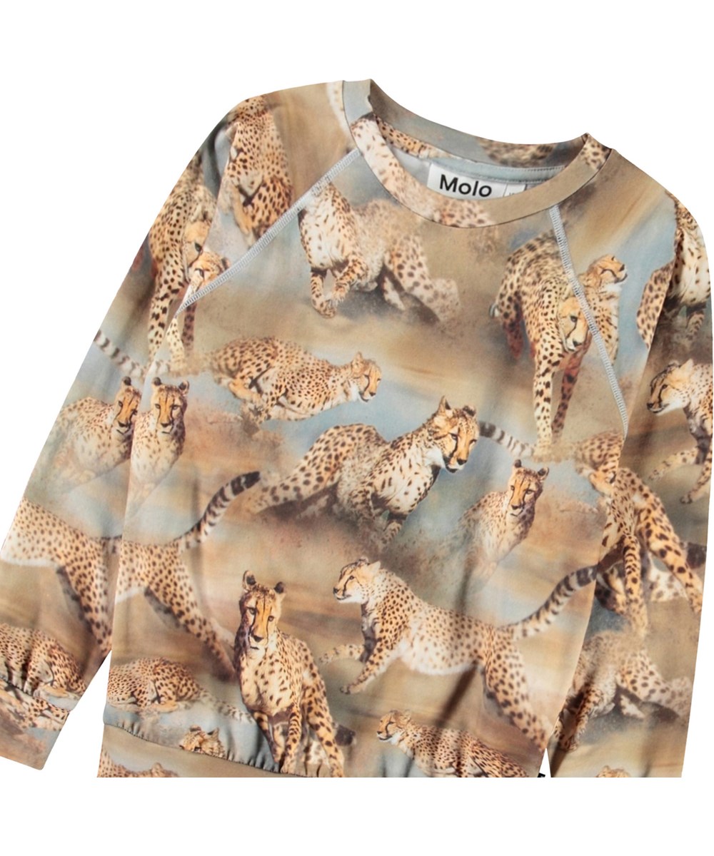 Romeo - Fast Cheetahs - Sweatshirt för barn i mjuk ekologisk bomull med ribbad halsringning och geparder i full fart.