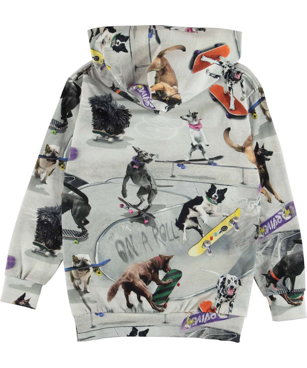 Romo - Doggy Town - Ekologisk huvtröja med skatehundar.