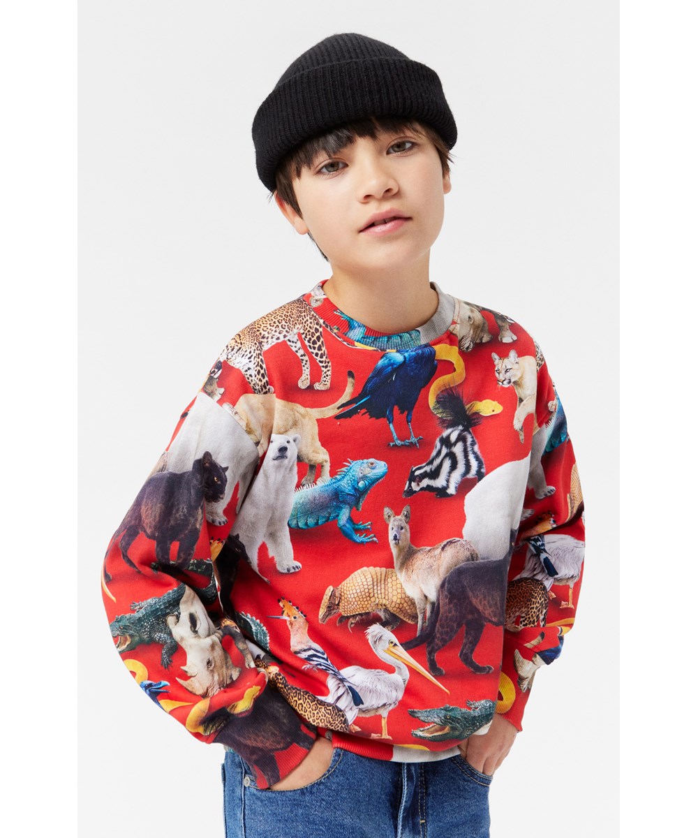 Mattis - Animal Mix - Mörkgrön sweatshirt med djurtryck i ekologisk bomull.