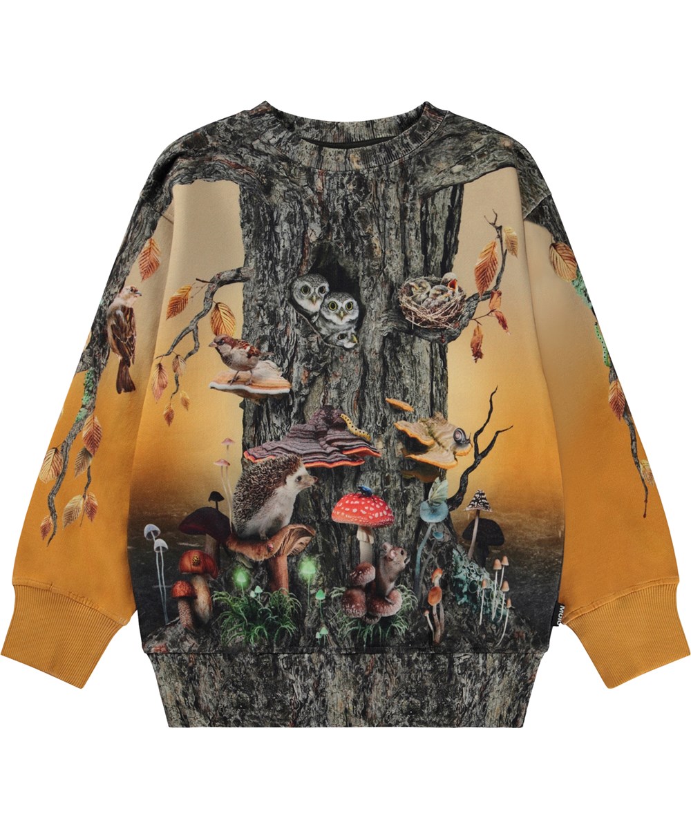 Mattis - Tree Life - Orange och brun ekologisk sweatshirt med trädsstammar.