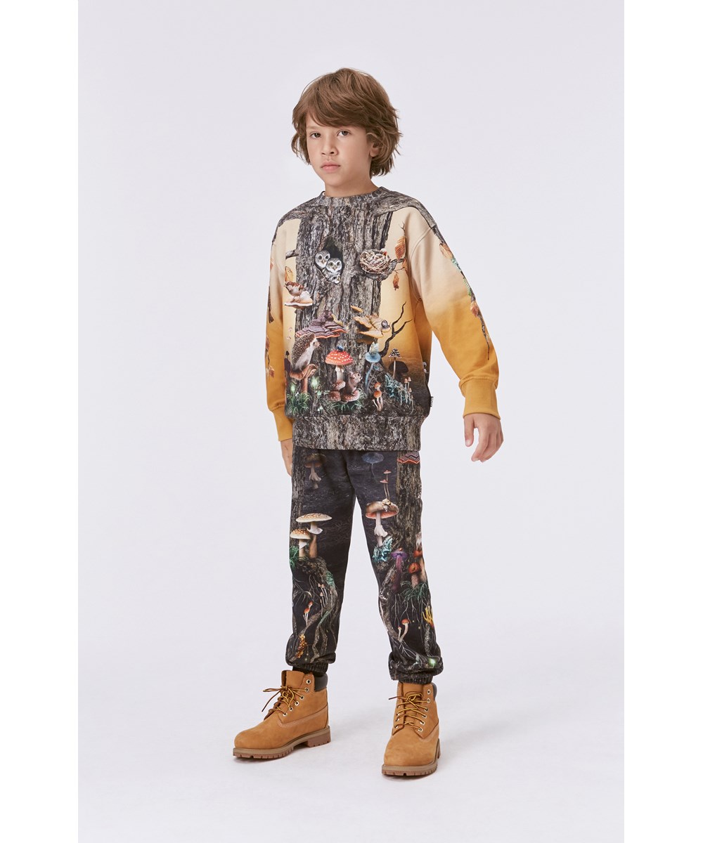 Mattis - Tree Life - Orange och brun ekologisk sweatshirt med trädsstammar.