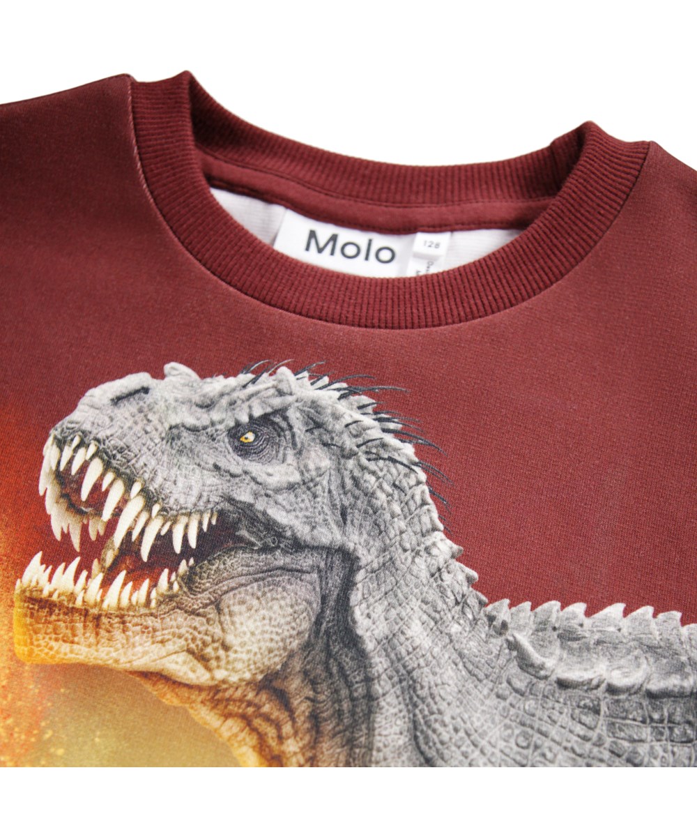 Miksi - Dino Landscape - Mörkröd tröja för barn i mjuk ekologisk bomull med dinosauriemönster.
