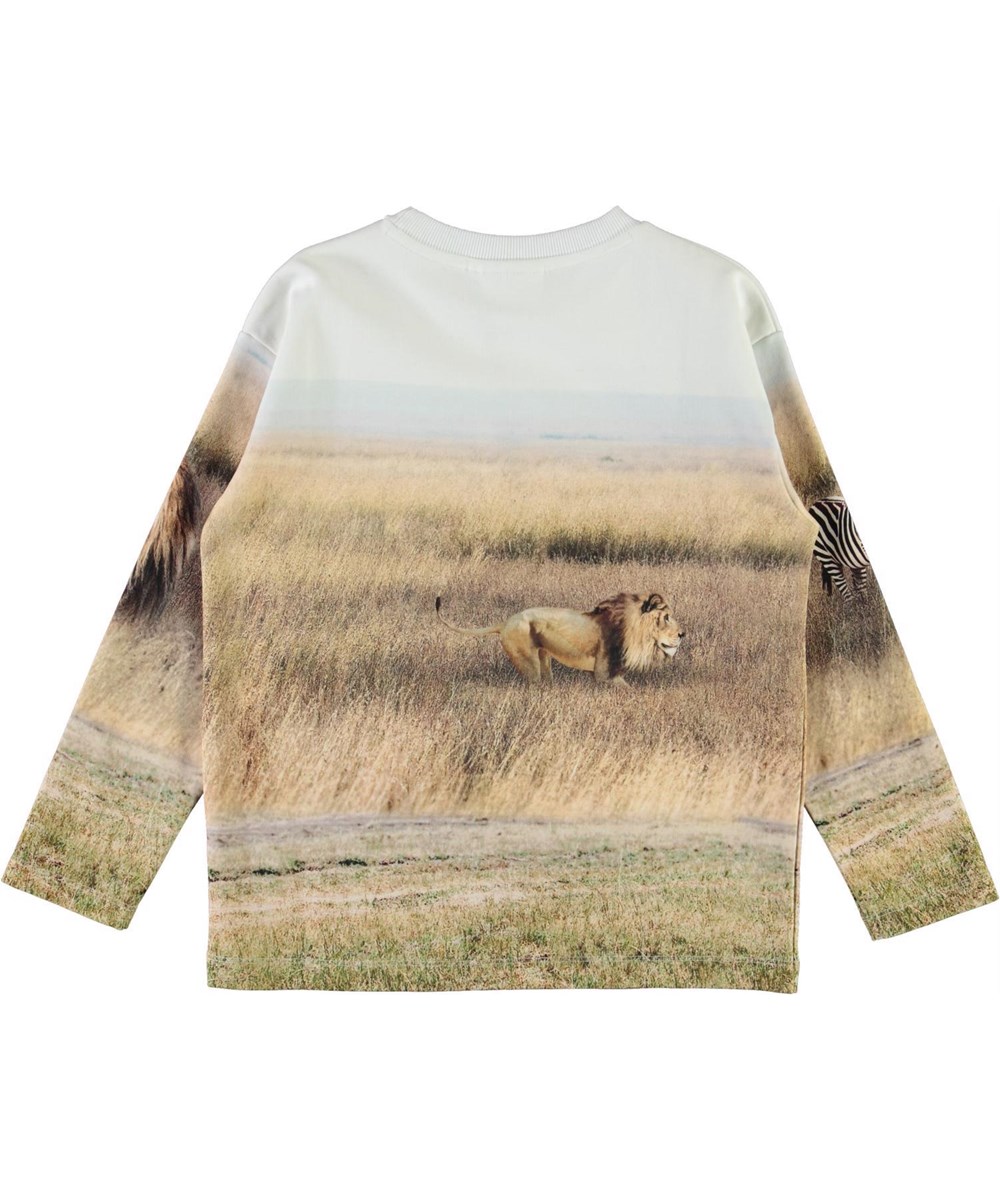 Mountoo - Savanna - Ekologisk sweatshirt med lejon