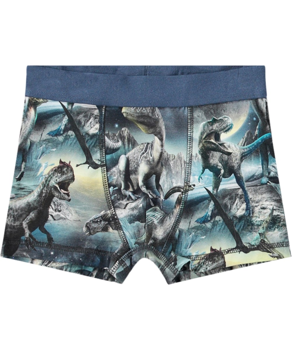 Justin 2-pack - Dinos Calm - 2-pack boxershorts tillverkade av ekologisk bomull med dinosaurie tryck.