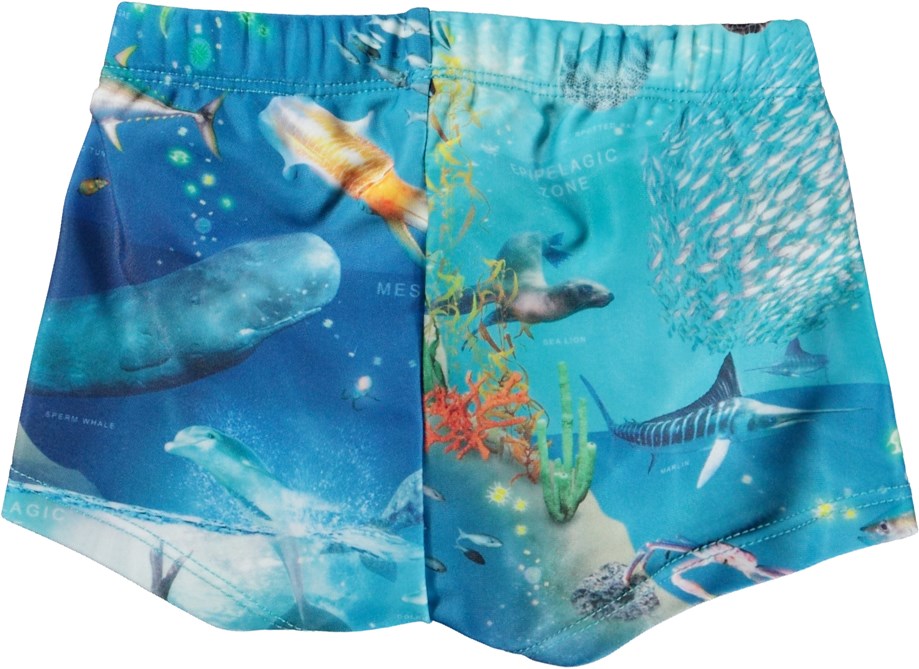 Nansen - Ocean Zones - Blue baby swim shorts in all over ocean print 