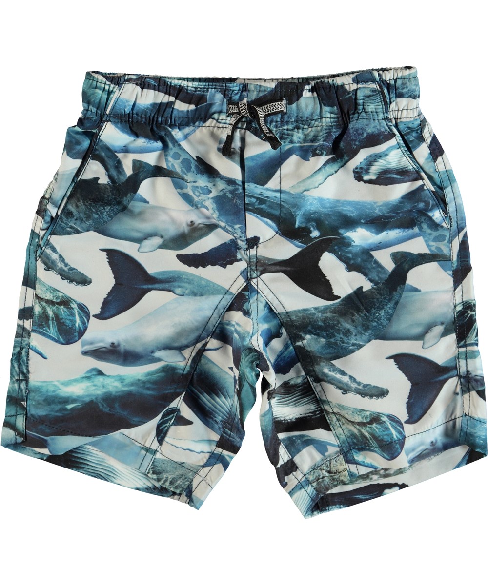 Nario - Whales - Swim trunks with back pocket 