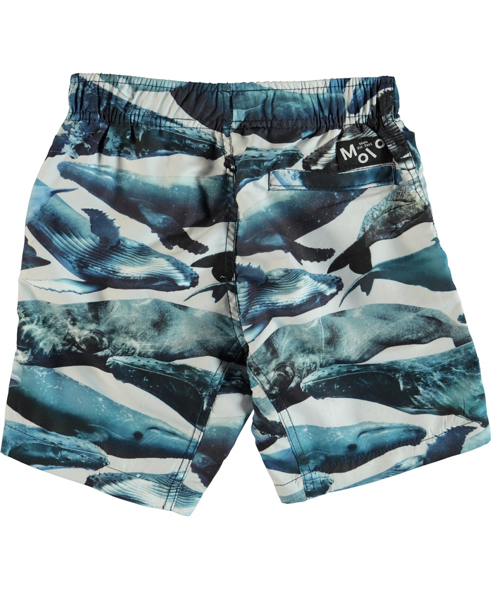 Nario - Whales - Swim trunks with back pocket 