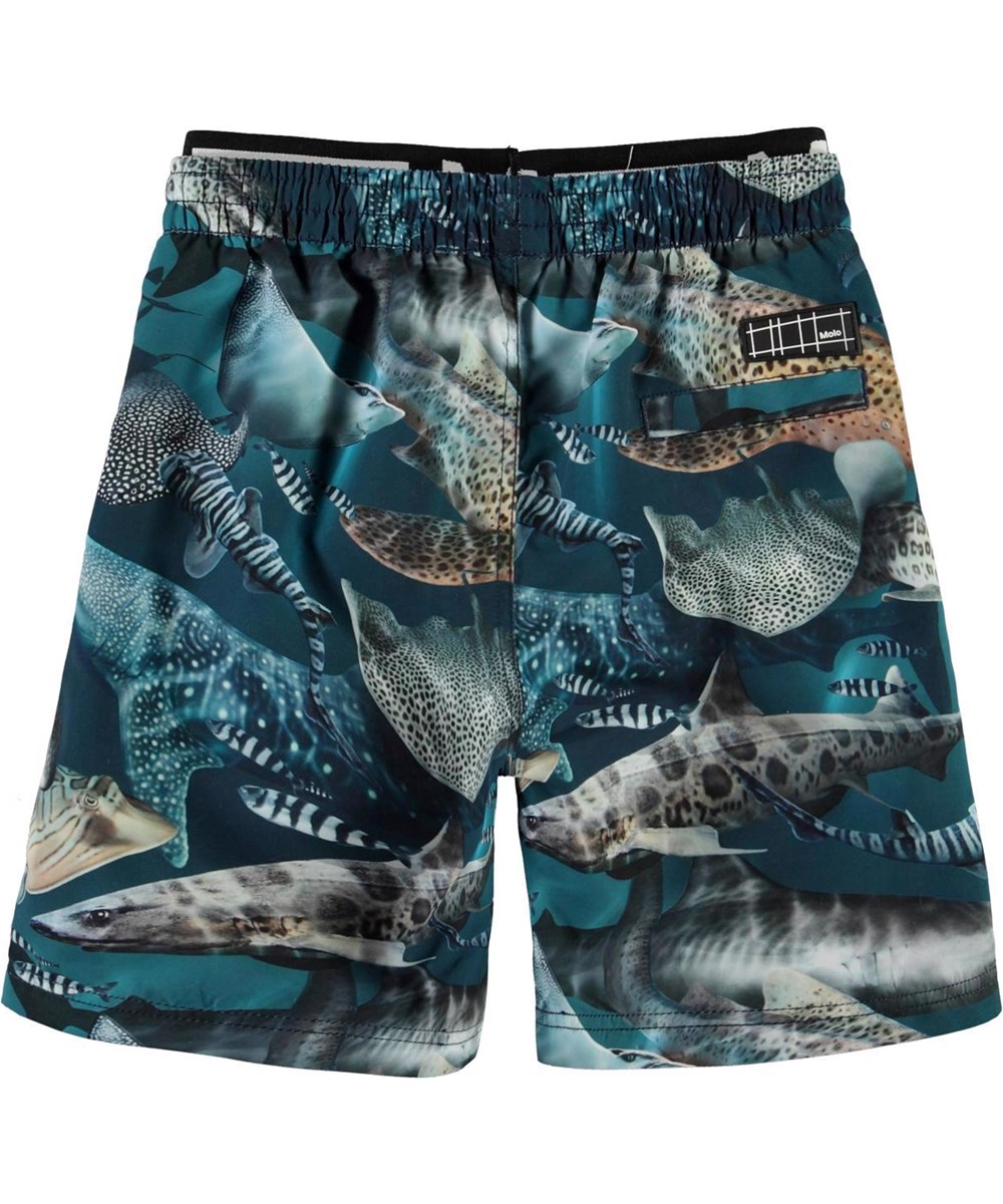 Neal - Amazing Sharks - UV long swim trunks with sharks 