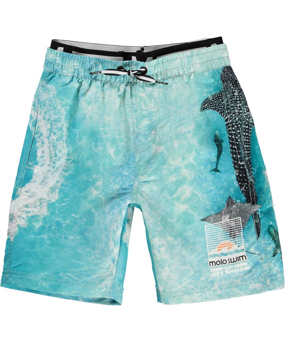 Neal - Boat Spin - UV long swim trunks speedboat sea creatures