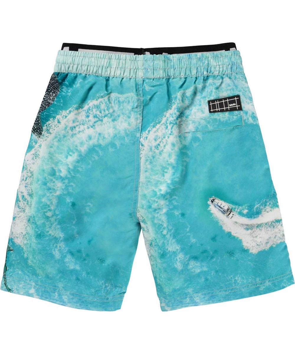 Neal - Boat Spin - UV long swim trunks speedboat sea creatures