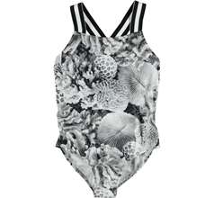 Neve Swimwear