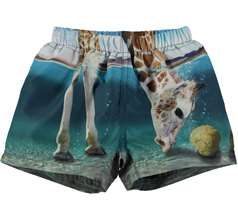 Newton Swimwear