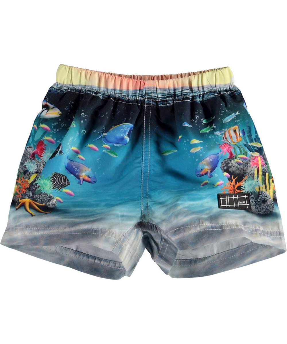 Newton - Happy Baby Fish - UV baby swim trunks with the ocean's fish