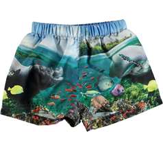 Newton Swimwear