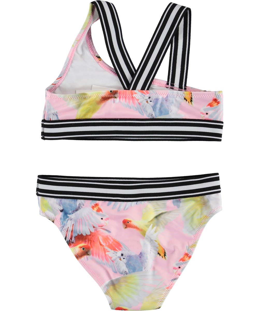 Nicola - Cockatoos - UV bikini with parrots and striped straps 