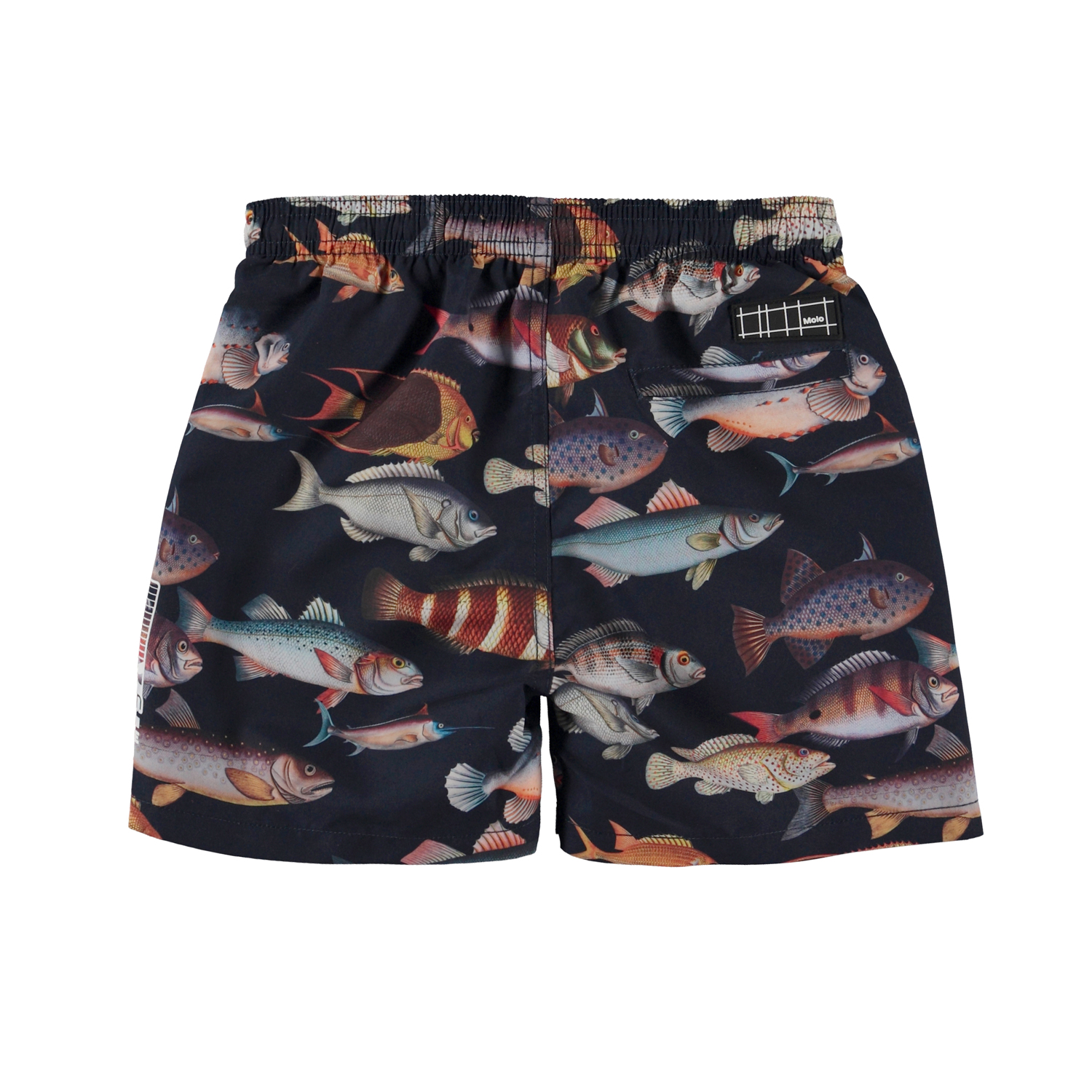 ■MARNI■ No Bacon in Visekos Fish Print Shorts Powder Blue Marni Chippy Fish Print Shorts - Powder Blue - 75% Off