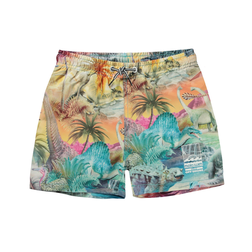 Dino Graphics Navy Shorts
