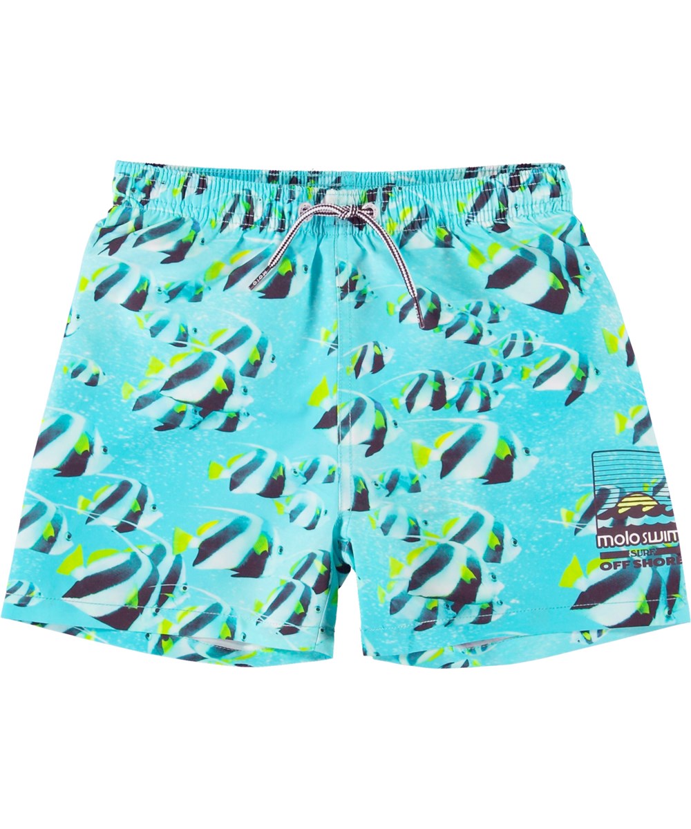 Niko - Fishing Shoal - Swim shorts in turquoise with fish print 