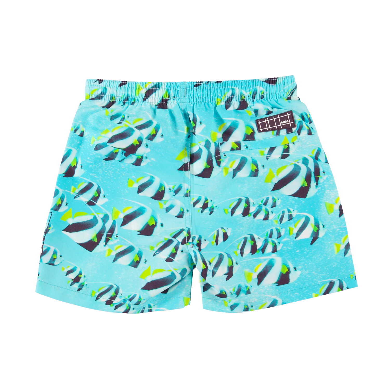 Passion for Motion Niko Swim Shorts main image 1