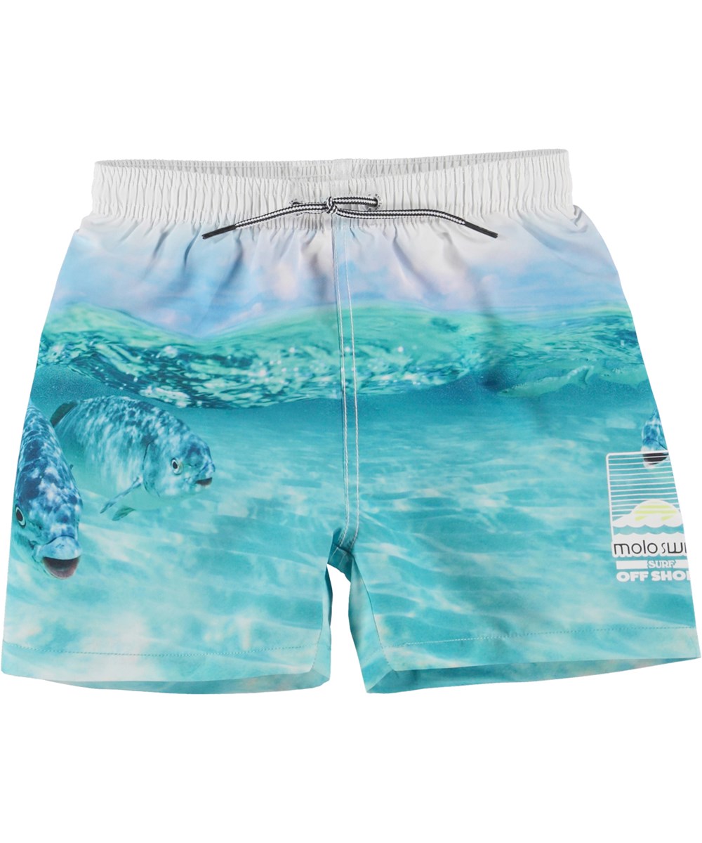 Niko - Funny Fish - Blue swim trunks with fish print