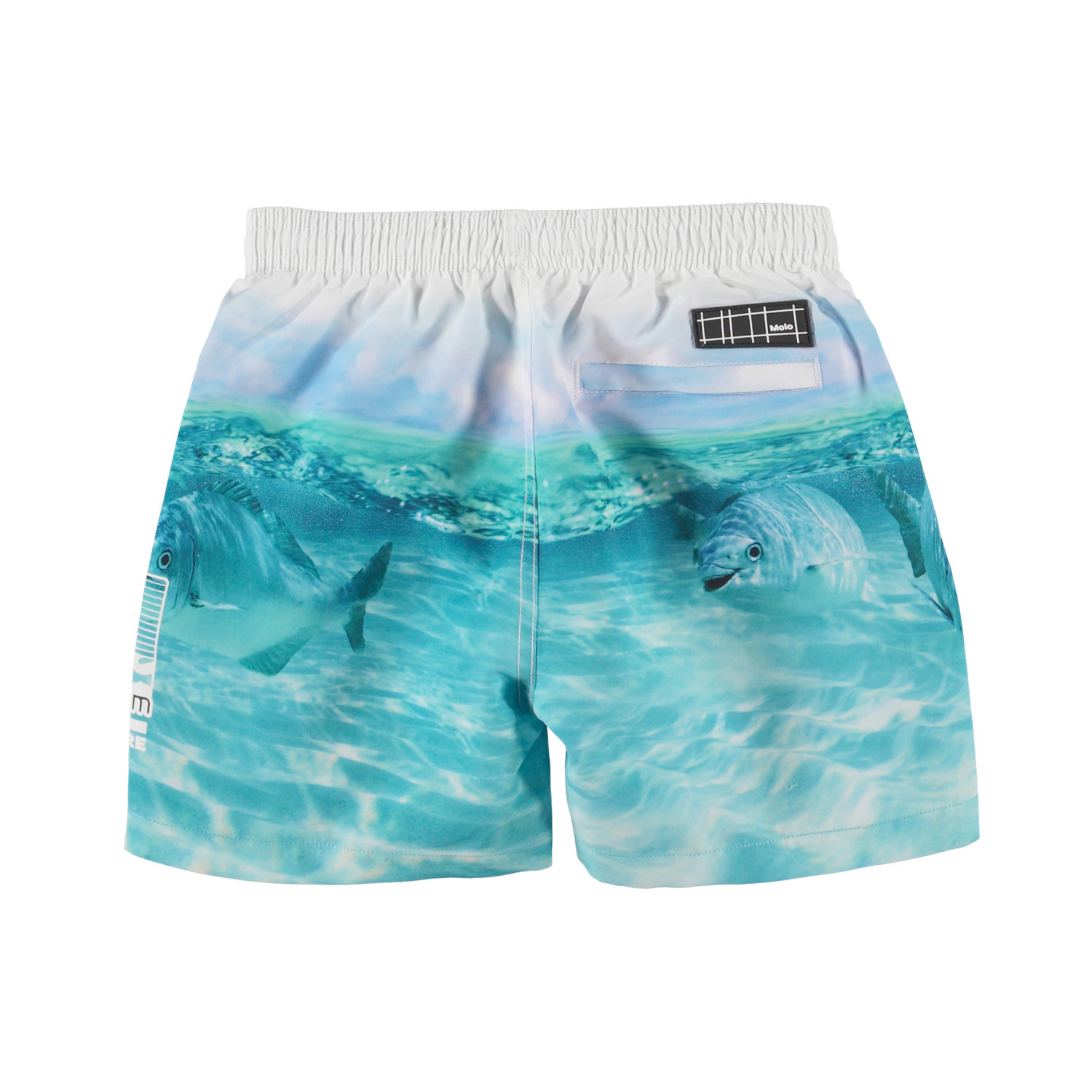 Fishing Shoal Niko Swim Shorts main image 1