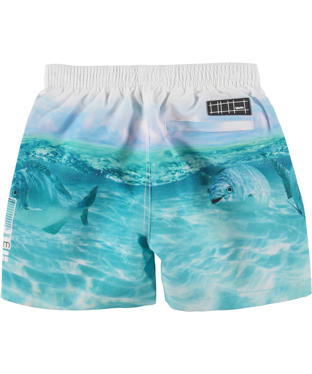 Niko - Funny Fish - Blue swim trunks with fish print