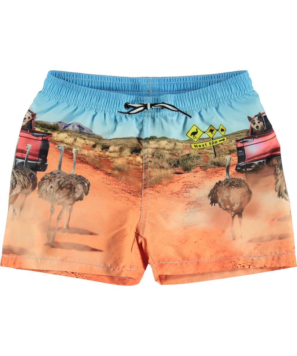 Niko - In The Bush - UV swim trunks with an ostrich and dog print 
