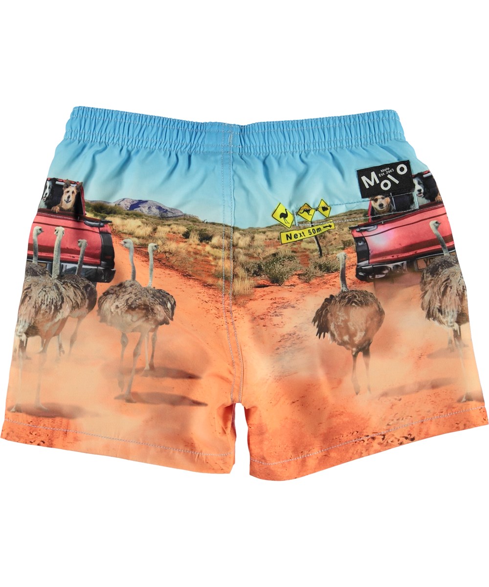 Niko - In The Bush - UV swim trunks with an ostrich and dog print 