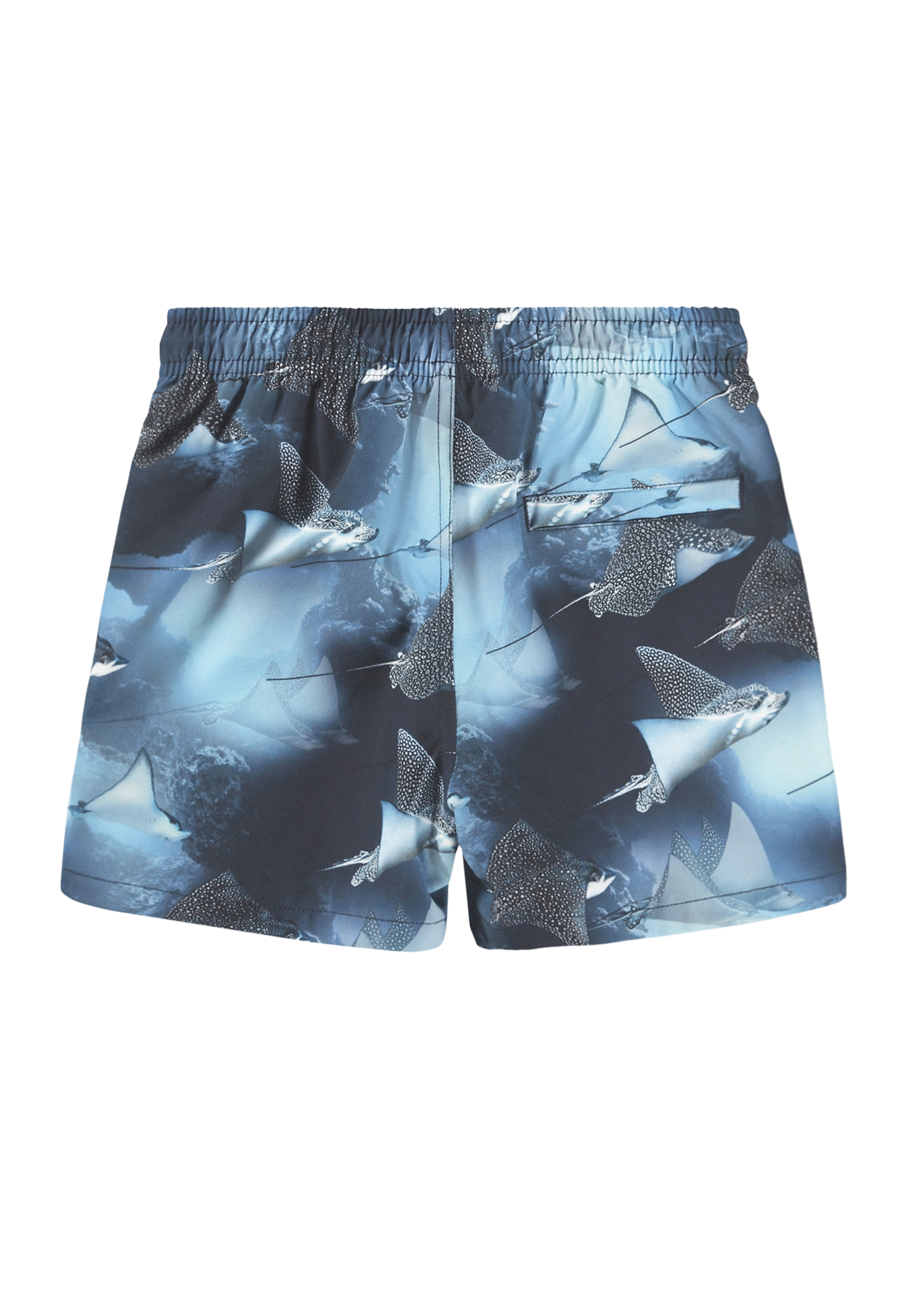 Niko - Into The Blue - Sporty, blue swim shorts with underwater