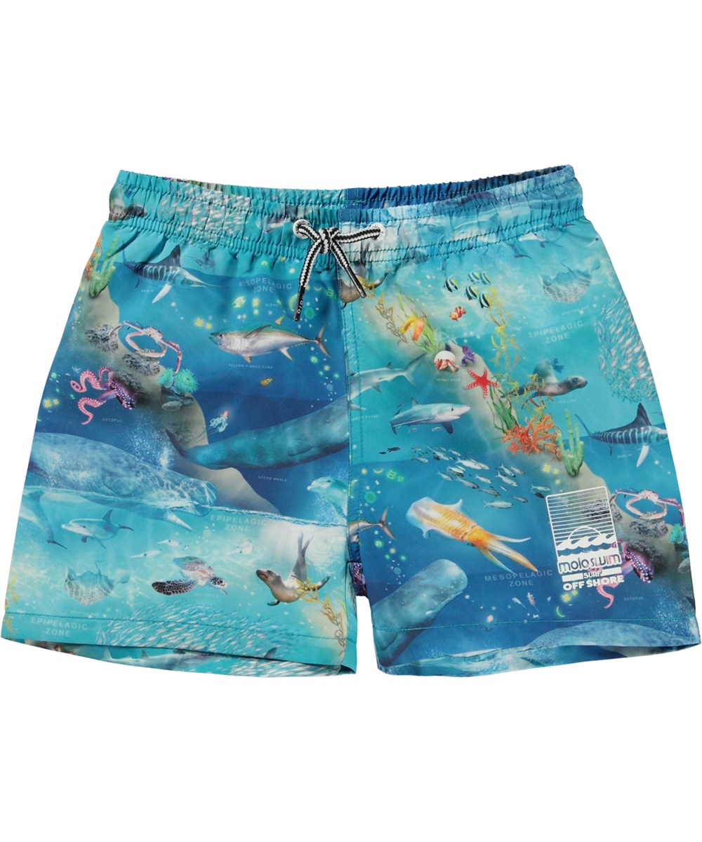 Niko - Ocean Zones - Blue swim shorts with short legs and an ocean placement print 