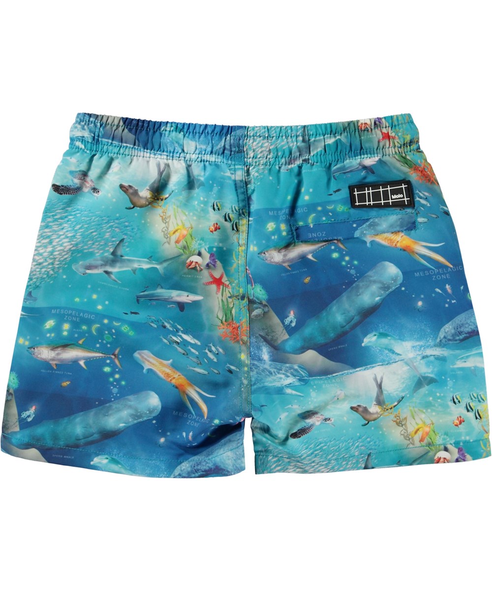 Niko - Ocean Zones - Blue swim shorts with short legs and an ocean placement print 