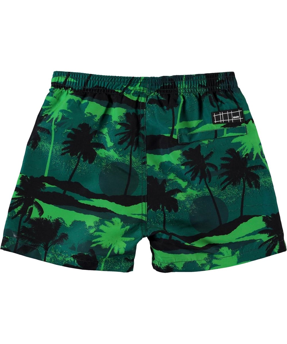 Niko - Palm Trees Green - Green UV swim trunks with palm tree print 