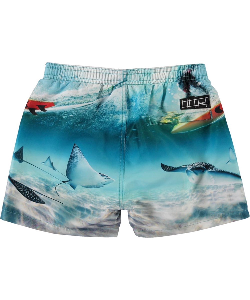 Niko - Sting Ray - UV swim trunks with stingrays