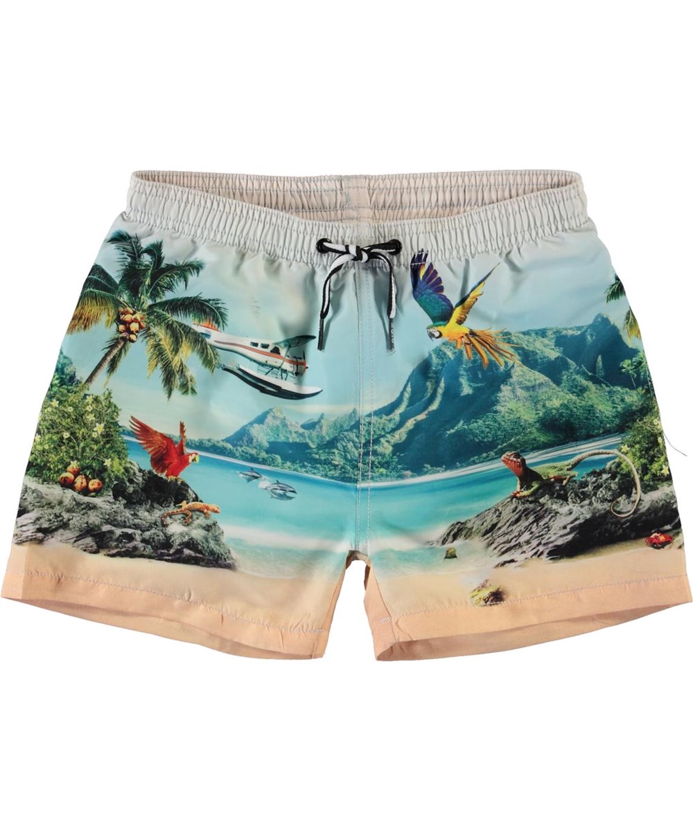 Niko - Welcome To Hawaii - UV swim trunks with dolphins and palm trees 