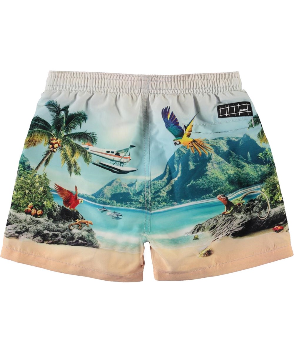 Niko - Welcome To Hawaii - UV swim trunks with dolphins and palm trees 