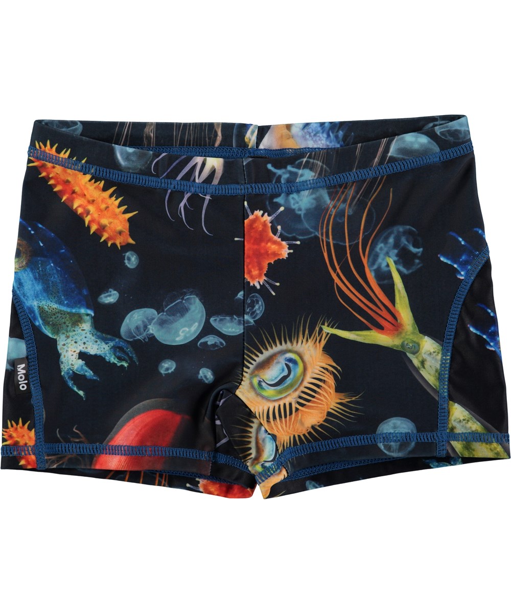 Norton - Deep Sea - Short swim shorts with digital sea life print 