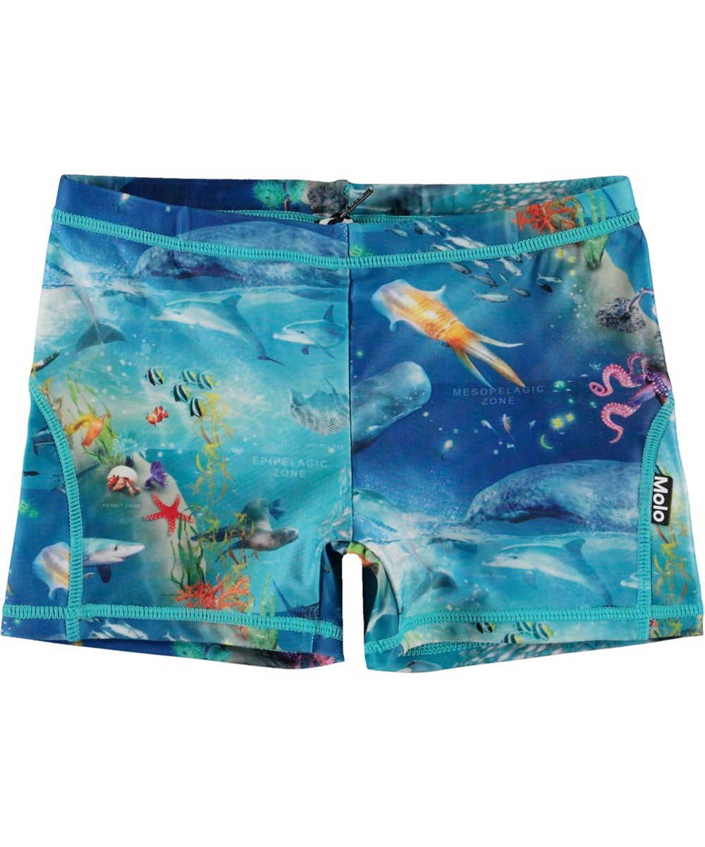 Norton - Ocean Zones - Short, blue swim shorts in all over ocean print 