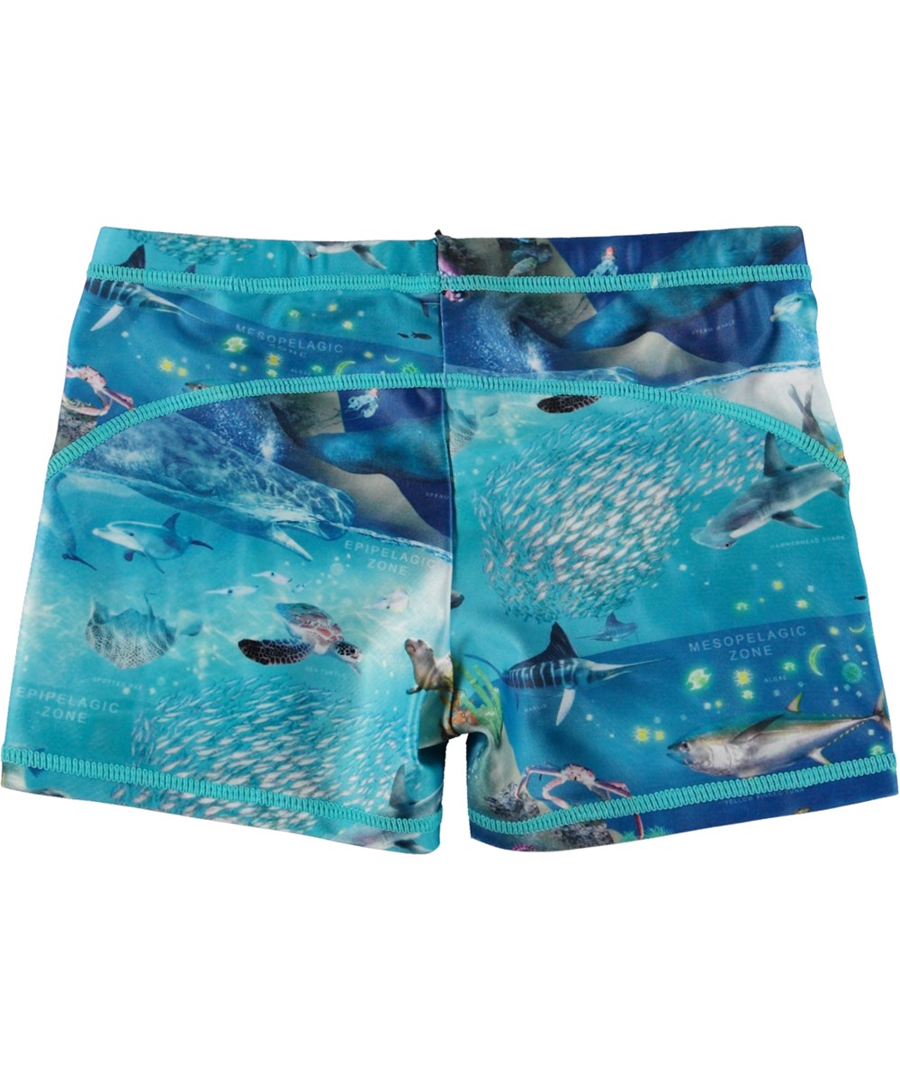 Norton - Ocean Zones - Short, blue swim shorts in all over ocean print 