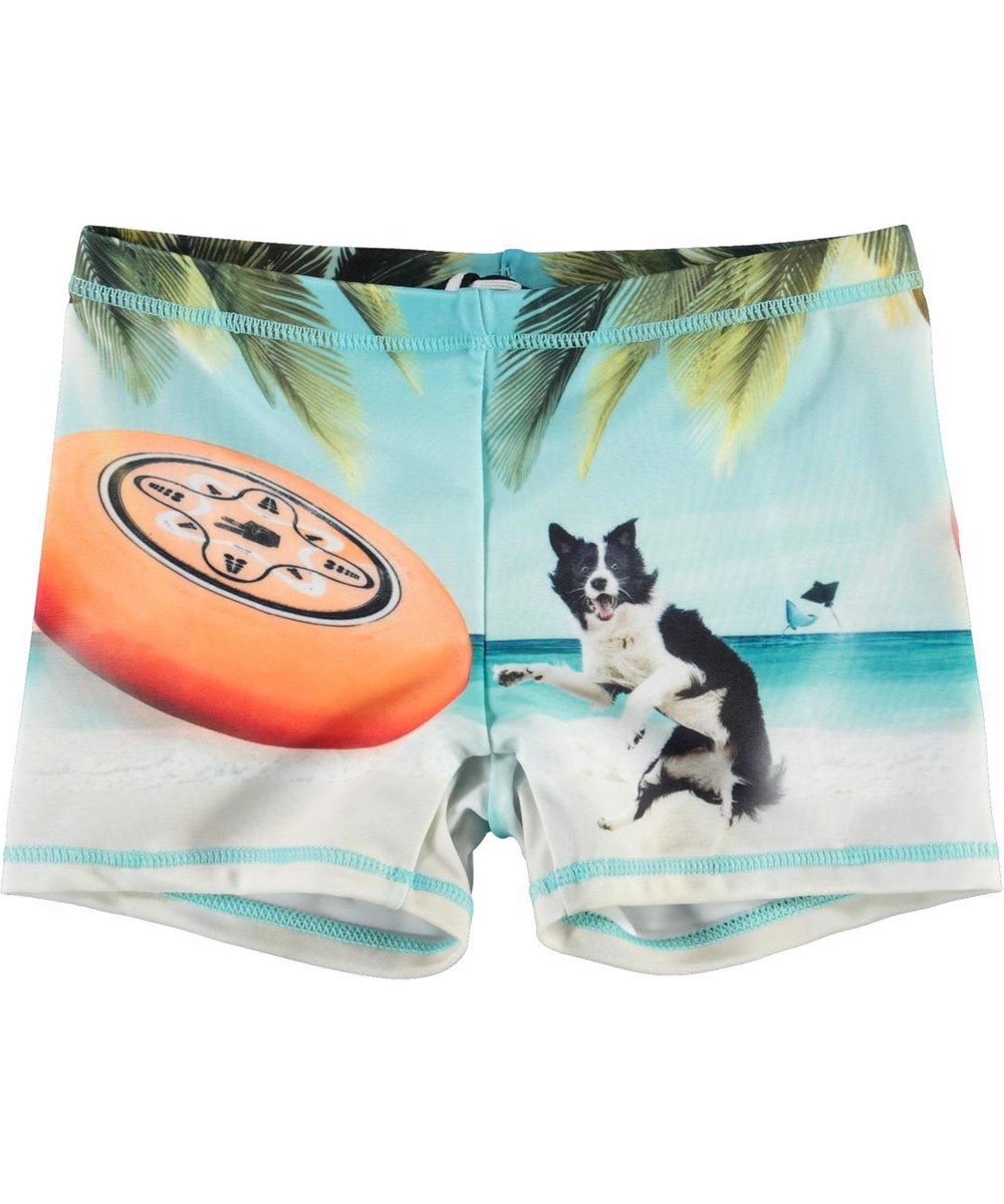Norton Placed - Frisbee - Short UV swim trunks with dog and Frisbee